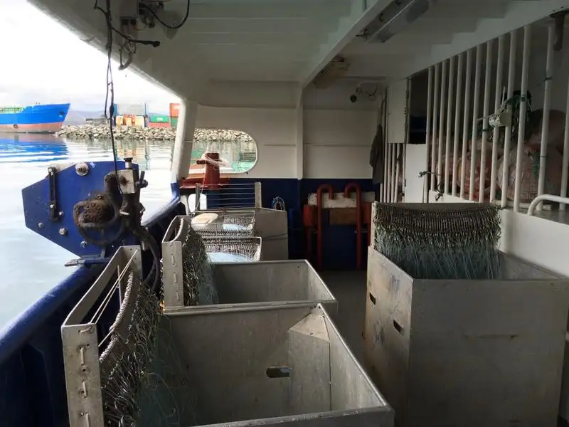 Trol gemisi satılık
