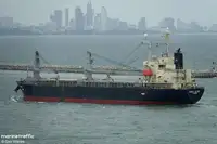 Yığın taşıyıcı satılık