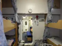 Devriye botu satılık