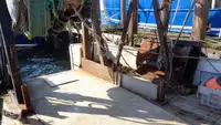 Trol gemisi satılık
