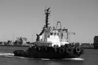 Römorkör satılık