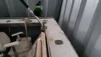 Trol gemisi satılık