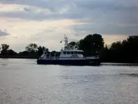 Devriye botu satılık