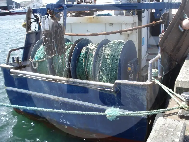 Canlı balık taşıma gemisi satılık