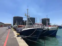 Longliner satılık