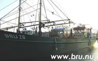 Trol gemisi satılık