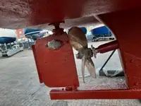 Küçük yük gemisi satılık