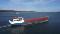 Yığın taşıyıcı satılık