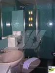 Kruvaziyer gemisi satılık