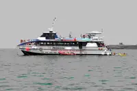 Katamaran satılık