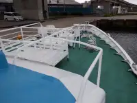 Devriye botu satılık