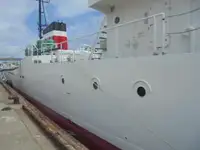 Devriye botu satılık