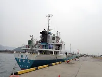 General Cargo/Multi-purpose satılık