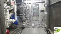 Kruvaziyer gemisi satılık