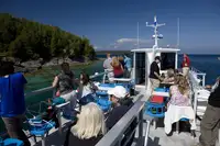 Kruvaziyer gemisi satılık