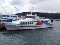 Feribot satılık