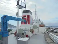 Devriye botu satılık