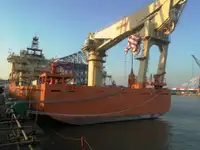 Yığın taşıyıcı satılık