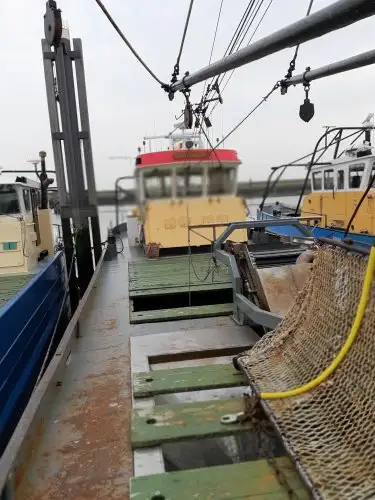 Trol gemisi satılık