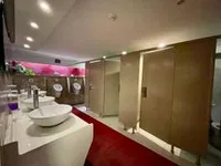 Yolcu gemisi satılık