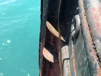 Çekme teknesi satılık
