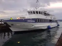Yolcu gemisi satılık