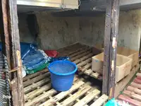 Trol gemisi satılık