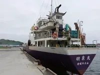 General Cargo/Multi-purpose satılık