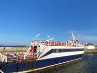 Yolcu gemisi satılık