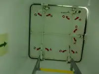 Yığın taşıyıcı satılık
