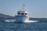 Feribot satılık