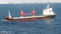 Dökme yük gemisi satılık
