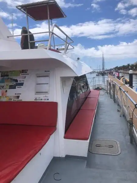 Katamaran satılık