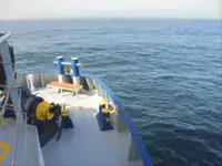 Soğutmalı gemi satılık