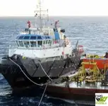 römorkör satılık