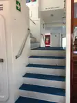 Katamaran satılık