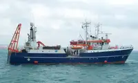 Anket gemisi satılık