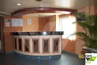 Ro-Ro ship satılık