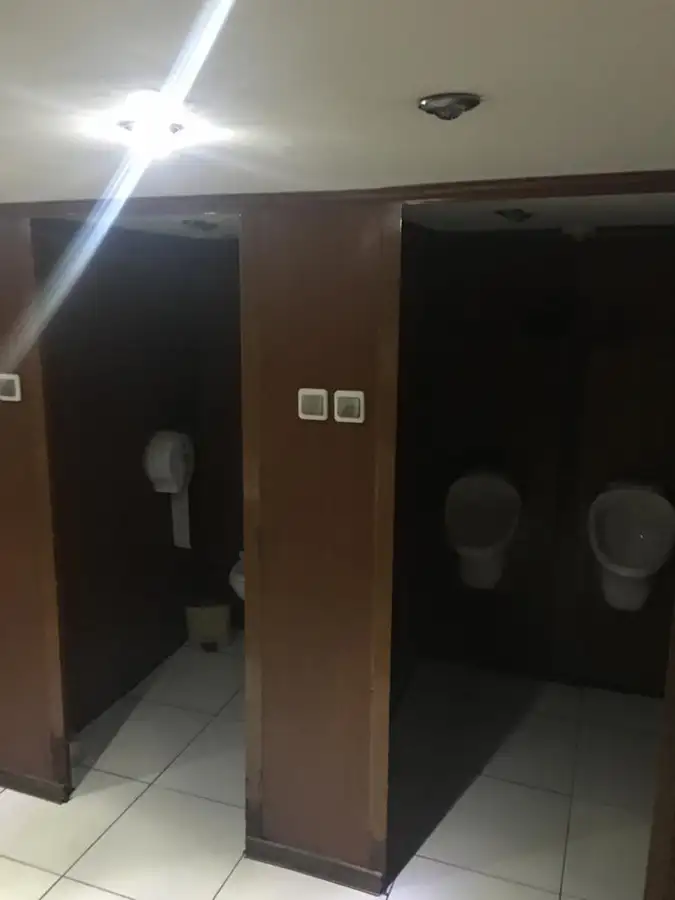 Kruvaziyer gemisi satılık