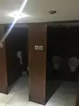 Kruvaziyer gemisi satılık
