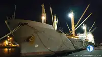 Soğutmalı gemi satılık