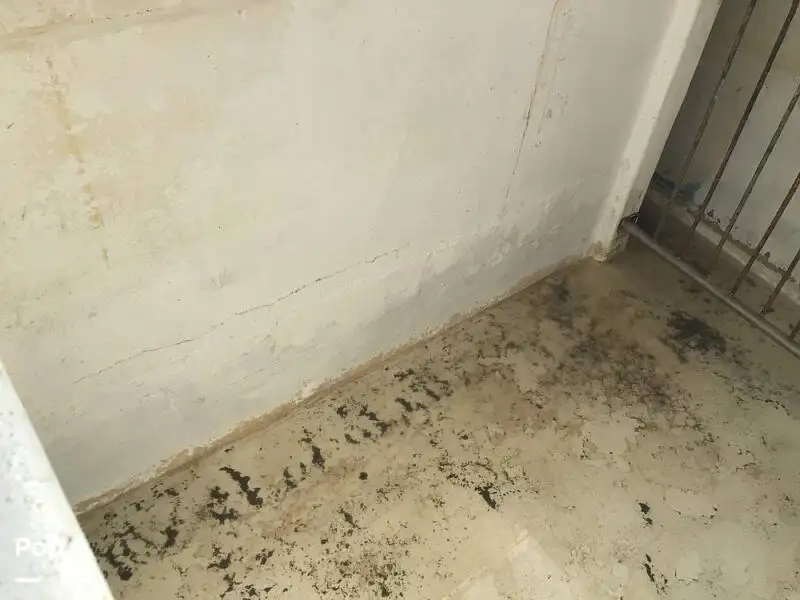 Trol gemisi satılık