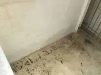 Trol gemisi satılık