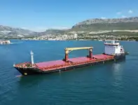 Dökme yük gemisi satılık