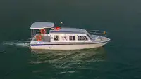 Kruvaziyer gemisi satılık