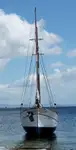 Feribot satılık