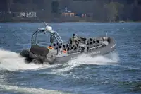 Şişirilebilir sert bot satılık