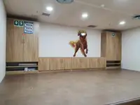 Soğutmalı gemi satılık