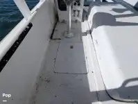 Kruvaziyer feribotu satılık