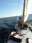 Gezi teknesi satılık